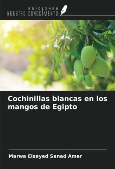 Cochinillas blancas en los mangos de Egipto