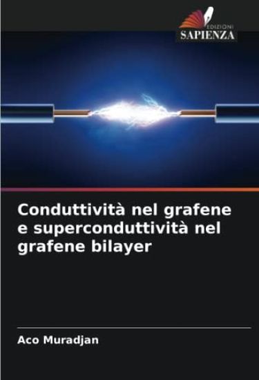 Conduttività nel grafene e superconduttività nel grafene bilayer