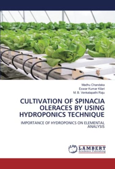 Cultivation of Spinacia Oleraces by Using Hydroponics Technique