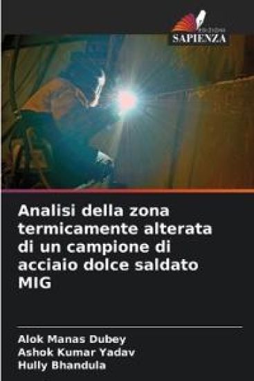 Analisi della zona termicamente alterata di un campione di acciaio dolce saldato MIG