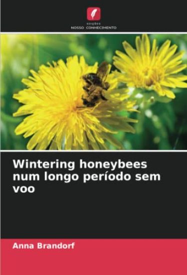 Wintering honeybees num longo período sem voo