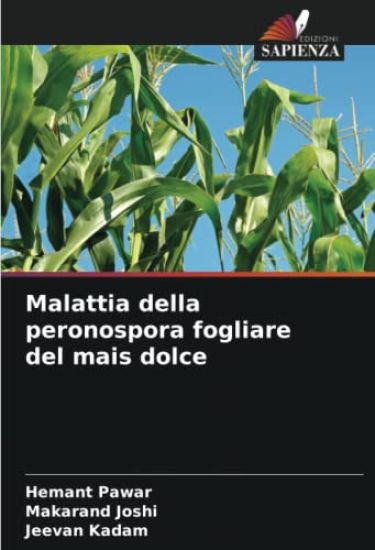 Malattia della peronospora fogliare del mais dolce
