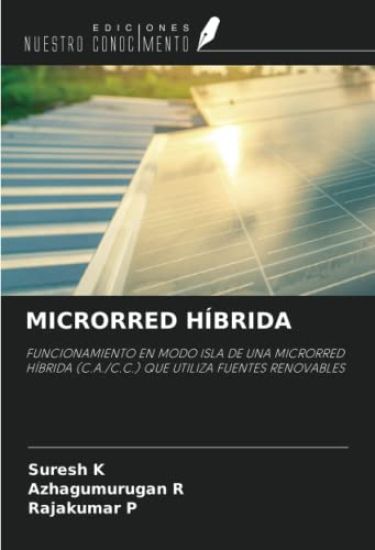 MICRORRED HÍBRIDA