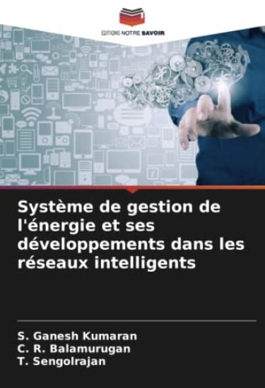 Système de gestion de l'énergie et ses développements dans les réseaux intelligents