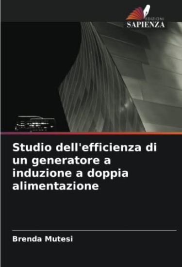 Studio dell'efficienza di un generatore a induzione a doppia alimentazione