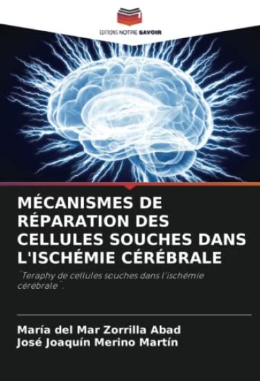Mécanismes de Réparation Des Cellules Souches Dans l'Ischémie Cérébrale