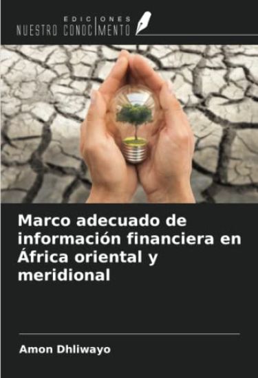 Marco adecuado de información financiera en África oriental y meridional