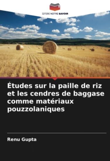Études sur la paille de riz et les cendres de baggase comme matériaux pouzzolaniques