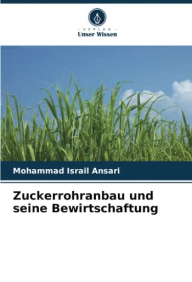 Zuckerrohranbau und seine Bewirtschaftung