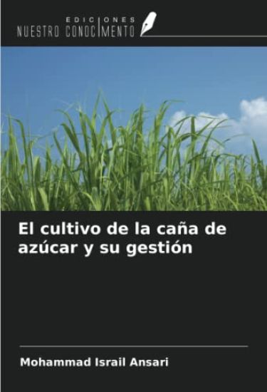 El cultivo de la caña de azúcar y su gestión