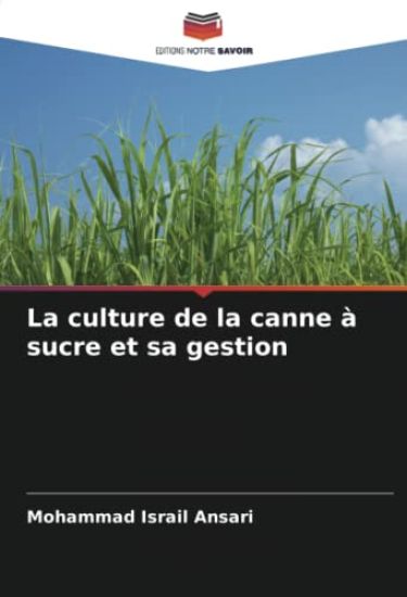 La culture de la canne à sucre et sa gestion