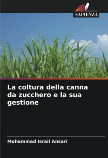 La coltura della canna da zucchero e la sua gestione