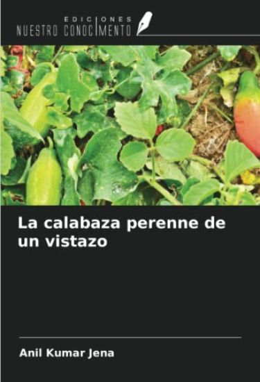 La calabaza perenne de un vistazo