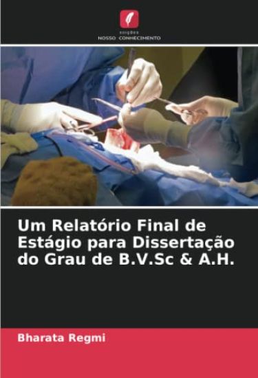 Um Relatório Final de Estágio para Dissertação do Grau de B.V.Sc & A.H.