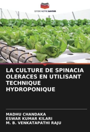 La Culture de Spinacia Oleraces En Utilisant Technique Hydroponique