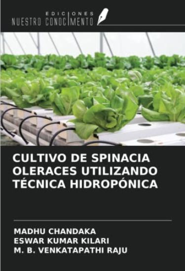 CULTIVO DE SPINACIA OLERACES UTILIZANDO TÉCNICA HIDROPÓNICA