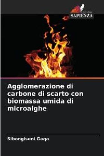 Agglomerazione di carbone di scarto con biomassa umida di microalghe