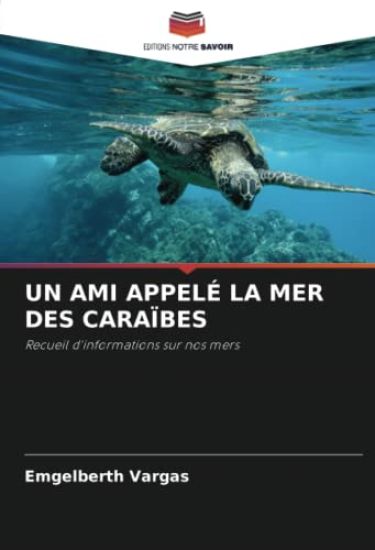 Un Ami Appelé La Mer Des Caraïbes