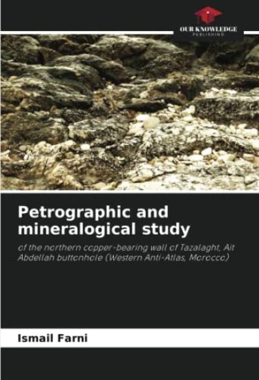 Petrographic and mineralogical study