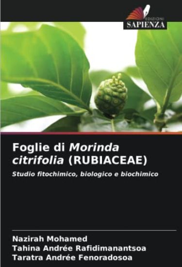 Foglie di Morinda citrifolia (RUBIACEAE)