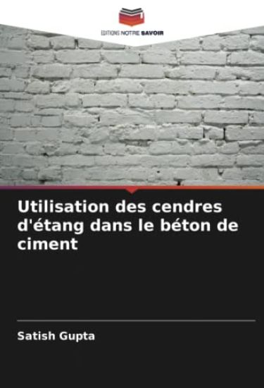 Utilisation des cendres d'étang dans le béton de ciment