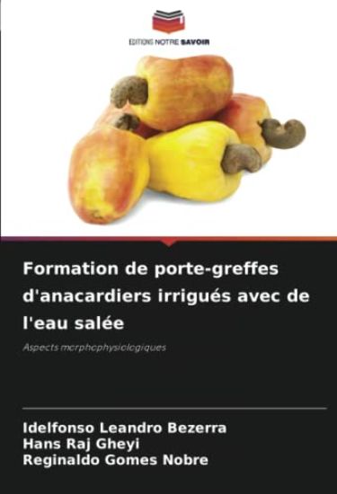 Formation de porte-greffes d'anacardiers irrigués avec de l'eau salée