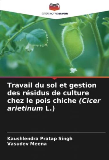 Travail du sol et gestion des résidus de culture chez le pois chiche (Cicer arietinum L.)