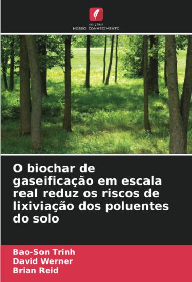 O biochar de gaseificação em escala real reduz os riscos de lixiviação dos poluentes do solo