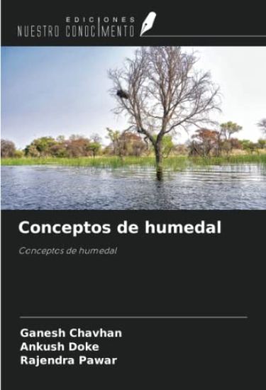 Conceptos de humedal