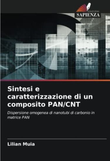 Sintesi e caratterizzazione di un composito PAN/CNT