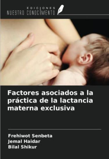 Factores asociados a la práctica de la lactancia materna exclusiva