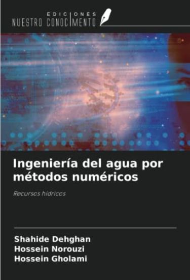 Ingeniería del agua por métodos numéricos