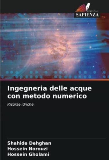 Ingegneria delle acque con metodo numerico