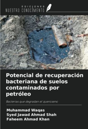 Potencial de recuperación bacteriana de suelos contaminados por petróleo