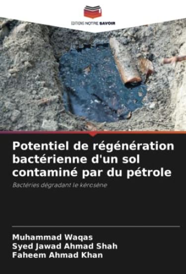 Potentiel de régénération bactérienne d'un sol contaminé par du pétrole