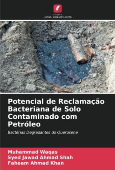 Potencial de Reclamação Bacteriana de Solo Contaminado com Petróleo