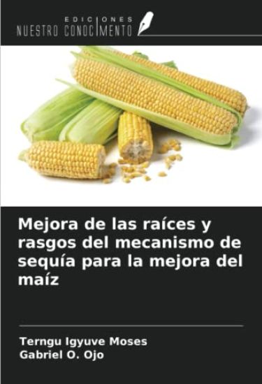Mejora de las raíces y rasgos del mecanismo de sequía para la mejora del maíz