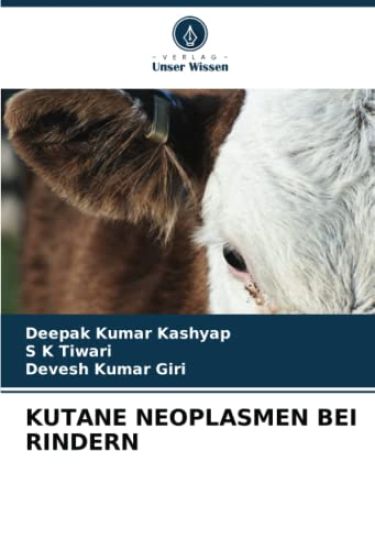 Kutane Neoplasmen Bei Rindern