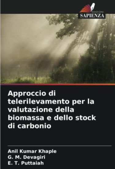 Approccio di telerilevamento per la valutazione della biomassa e dello stock di carbonio