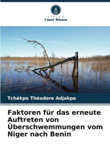 Faktoren für das erneute Auftreten von Überschwemmungen vom Niger nach Benin