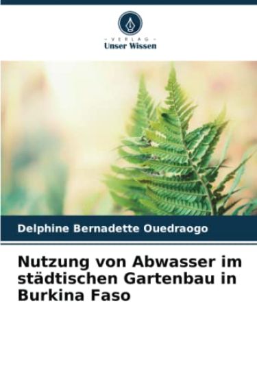 Nutzung von Abwasser im städtischen Gartenbau in Burkina Faso