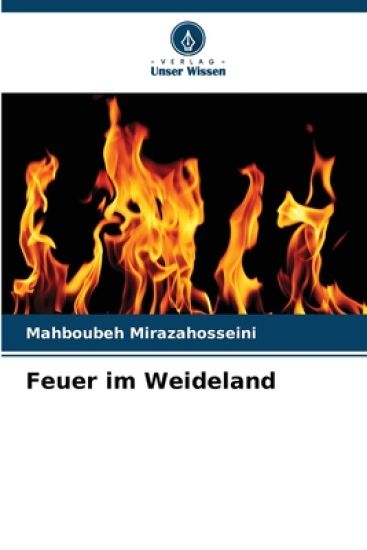 Feuer im Weideland