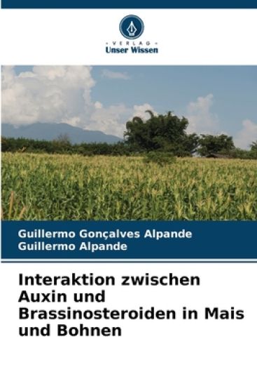 Interaktion zwischen Auxin und Brassinosteroiden in Mais und Bohnen