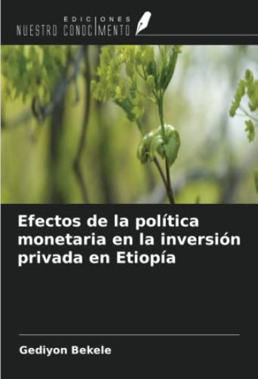 Efectos de la política monetaria en la inversión privada en Etiopía