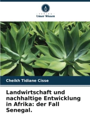 Landwirtschaft und nachhaltige Entwicklung in Afrika