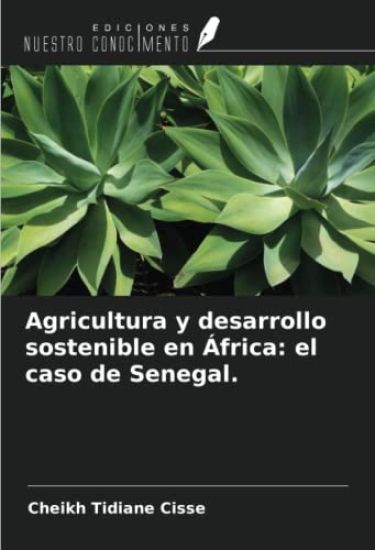 Agricultura y desarrollo sostenible en África: el caso de Senegal.