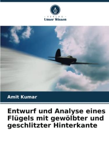 Entwurf und Analyse eines Flügels mit gewölbter und geschlitzter Hinterkante