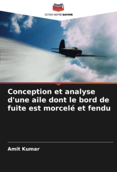 Conception et analyse d'une aile dont le bord de fuite est morcelé et fendu