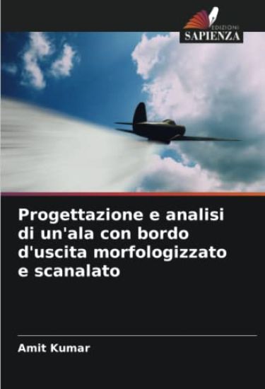 Progettazione e analisi di un'ala con bordo d'uscita morfologizzato e scanalato
