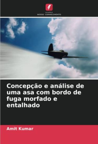 Concepção e análise de uma asa com bordo de fuga morfado e entalhado